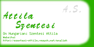 attila szentesi business card
